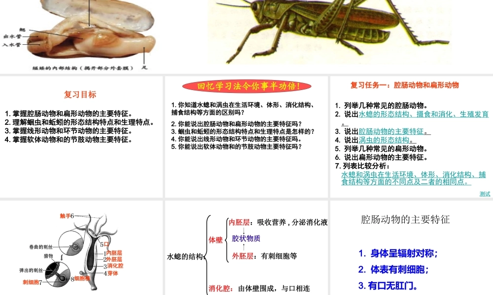 八年级生物上册 5.1.1-5.1.3 动物的主要类群复习课件 （新版）新人教版-（新版）新人教级上册生物课件