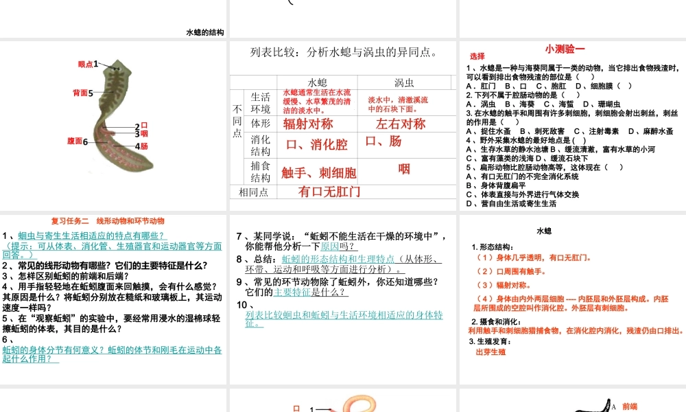 八年级生物上册 5.1.1-5.1.3 动物的主要类群复习课件 （新版）新人教版-（新版）新人教级上册生物课件