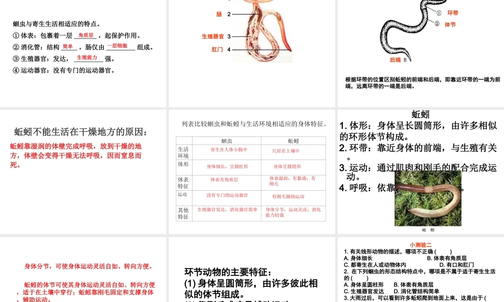 八年级生物上册 5.1.1-5.1.3 动物的主要类群复习课件 （新版）新人教版-（新版）新人教级上册生物课件