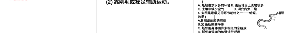 八年级生物上册 5.1.1-5.1.3 动物的主要类群复习课件 （新版）新人教版-（新版）新人教级上册生物课件