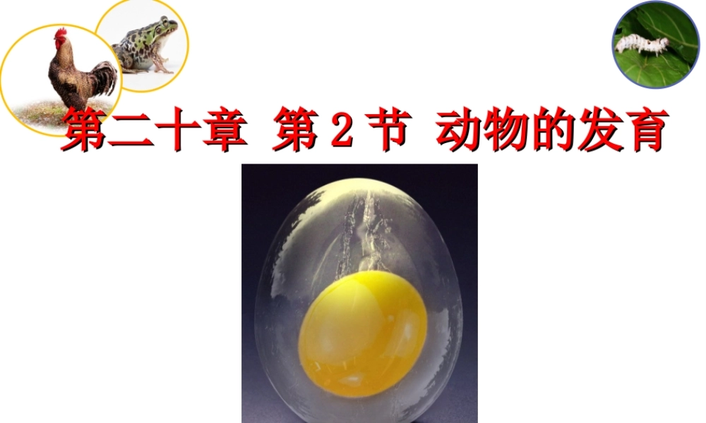 八年级生物上册 20.2 动物的发育课件2 苏科版-苏科版初中八年级上册生物课件