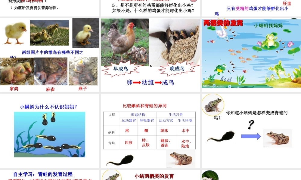 八年级生物上册 20.2 动物的发育课件2 苏科版-苏科版初中八年级上册生物课件