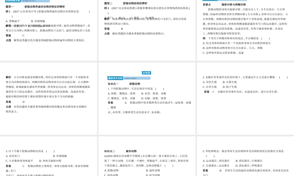 八年级生物上册 5.1.1腔肠动物和扁形动物课件 （新版）新人教版-（新版）新人教版初中八年级上册生物课件