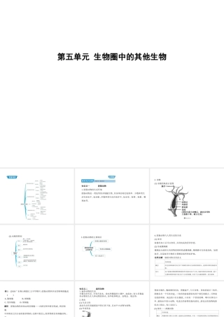 八年级生物上册 5.1.1腔肠动物和扁形动物课件 （新版）新人教版-（新版）新人教版初中八年级上册生物课件