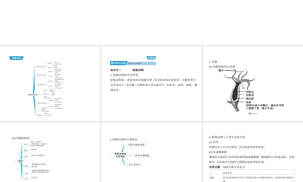 八年级生物上册 5.1.1腔肠动物和扁形动物课件 （新版）新人教版-（新版）新人教级上册生物课件