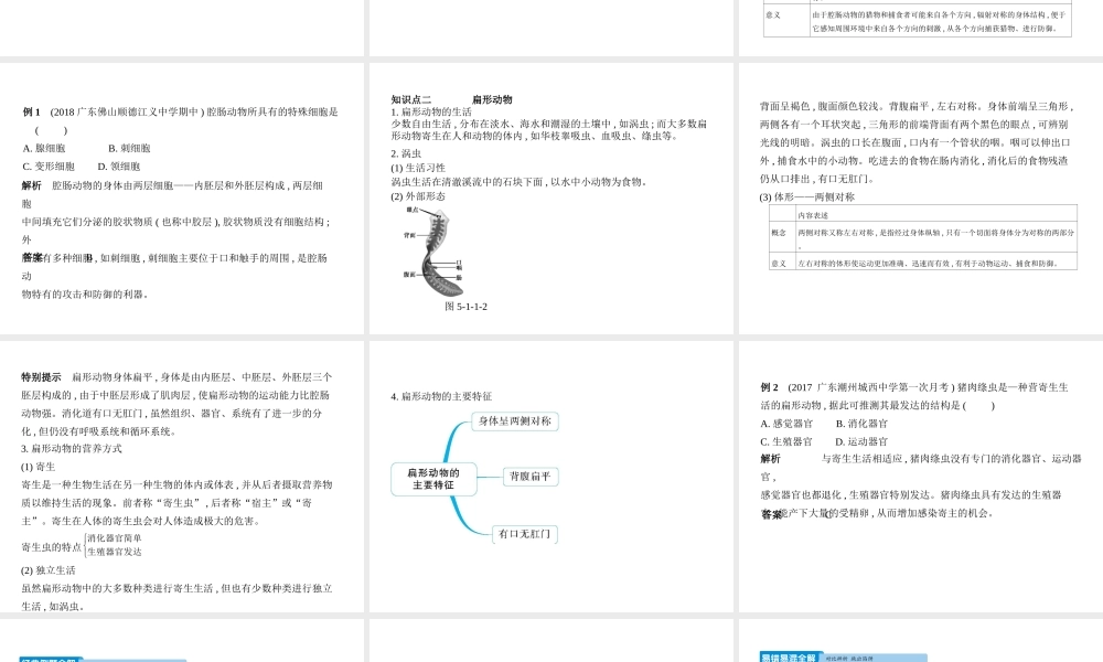 八年级生物上册 5.1.1腔肠动物和扁形动物课件 （新版）新人教版-（新版）新人教级上册生物课件