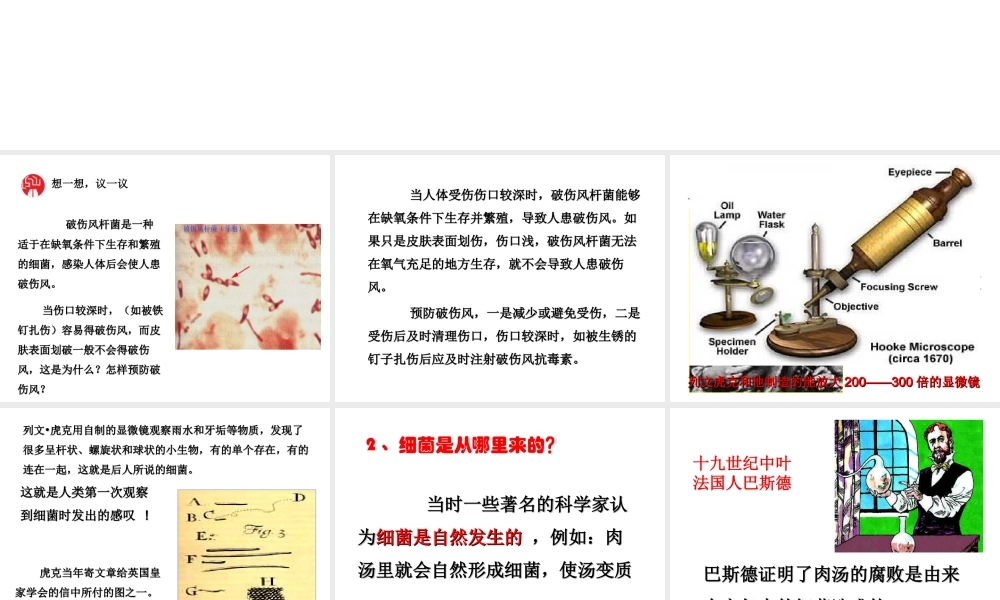 八年级生物上册 5.4.2《细菌》课件2 （新版）新人教版-（新版）新人教级上册生物课件