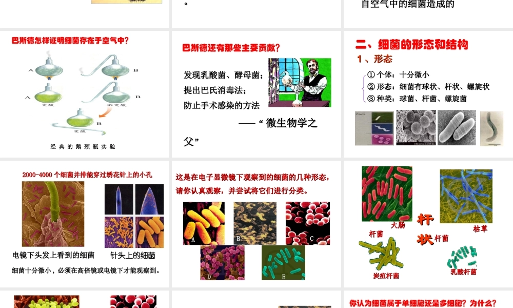 八年级生物上册 5.4.2《细菌》课件2 （新版）新人教版-（新版）新人教级上册生物课件