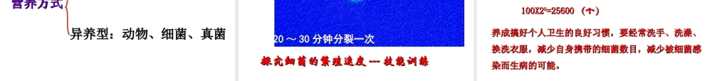 八年级生物上册 5.4.2《细菌》课件2 （新版）新人教版-（新版）新人教级上册生物课件