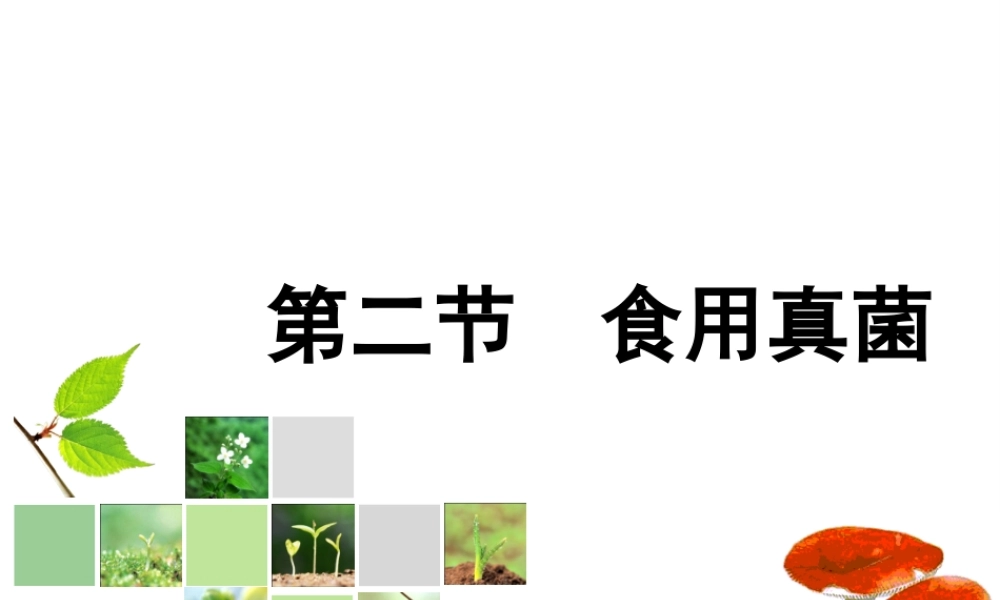 八年级生物上册 5.2.2 食用真菌课件（2）（新版）冀教版-（新版）冀教版初中八年级上册生物课件