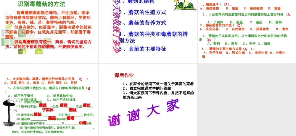 八年级生物上册 5.2.2 食用真菌课件（2）（新版）冀教版-（新版）冀教版初中八年级上册生物课件