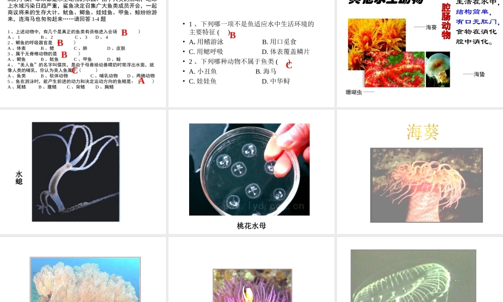 八年级生物上册 5.1.1水中生活的动物a精品课件 人教新课标版