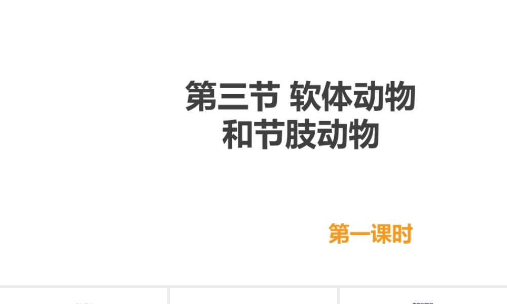 八年级生物上册 5.1.3《软体动物和节肢动物》（第1课时）课件 （新版）新人教版-（新版）新人教版初中八年级上册生物课件