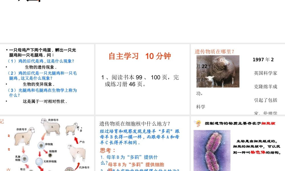 八年级生物上册 20.2 性状遗传的物质基础课件 北师大版-北师大版初中八年级上册生物课件