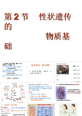八年级生物上册 20.2 性状遗传的物质基础课件 北师大版-北师大版初中八年级上册生物课件