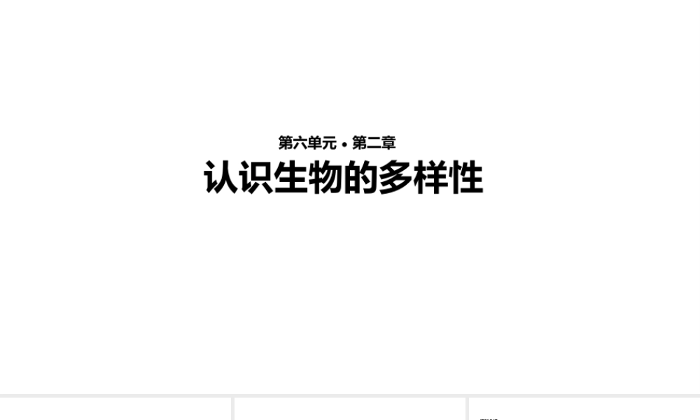 八年级生物上册 6.2《认识生物的多样性》教学课件 （新版）新人教版-（新版）新人教级上册生物课件