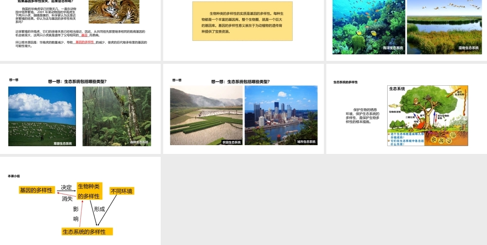 八年级生物上册 6.2《认识生物的多样性》教学课件 （新版）新人教版-（新版）新人教级上册生物课件