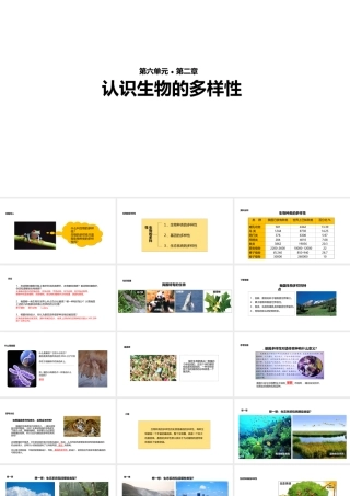 八年级生物上册 6.2《认识生物的多样性》教学课件 （新版）新人教版-（新版）新人教级上册生物课件