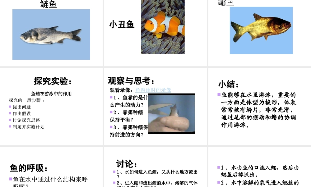 八年级生物上册 5.1.1水中生活的动物课件 人教新课标版