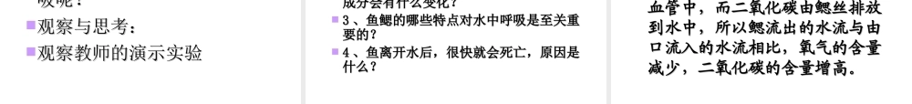 八年级生物上册 5.1.1水中生活的动物课件 人教新课标版