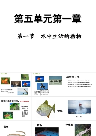 八年级生物上册 5.1.1水中生活的动物课件 人教新课标版