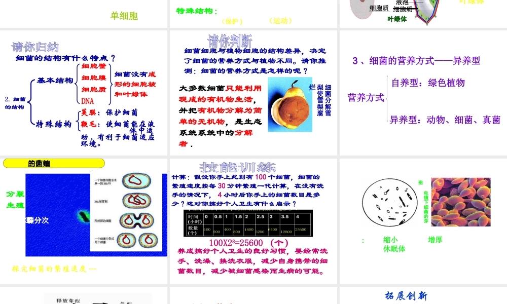 八年级生物上册 5.4.2《细菌》课件3 （新版）新人教版-（新版）新人教级上册生物课件
