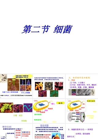 八年级生物上册 5.4.2《细菌》课件3 （新版）新人教版-（新版）新人教级上册生物课件
