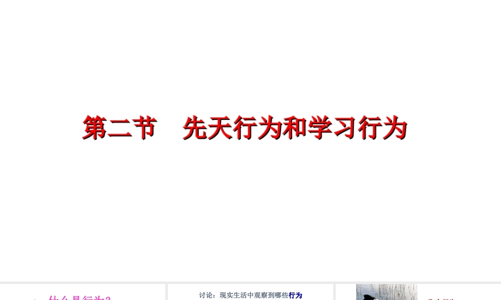 八年级生物上册 5.2.2 先天行为和学习行为课件 （新版）新人教版-（新版）新人教级上册生物课件