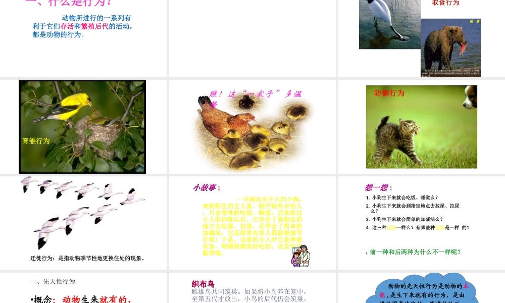 八年级生物上册 5.2.2 先天行为和学习行为课件 （新版）新人教版-（新版）新人教级上册生物课件