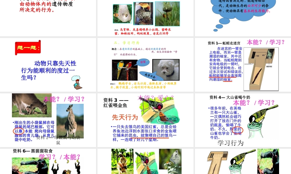 八年级生物上册 5.2.2 先天行为和学习行为课件 （新版）新人教版-（新版）新人教级上册生物课件