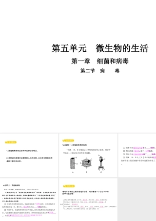 八年级生物上册 5.1.2 病毒课件 （新版）冀教版-（新版）冀教版初中八年级上册生物课件
