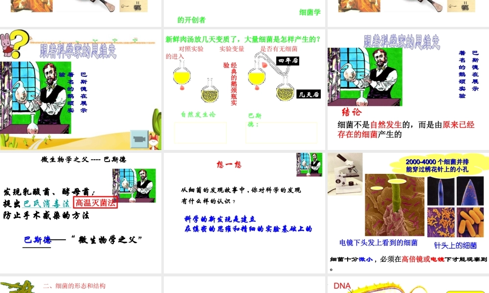 八年级生物上册 5.4.2《细菌》课件4 （新版）新人教版-（新版）新人教版初中八年级上册生物课件