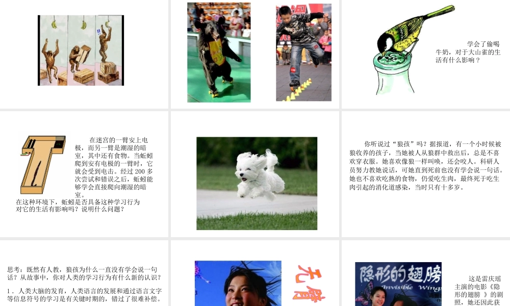 八年级生物上册 5.2.2 先天性行为和学习行为（第1课时）教学课件 （新版）新人教版-（新版）新人教版初中八年级上册生物课件