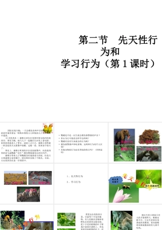 八年级生物上册 5.2.2 先天性行为和学习行为（第1课时）教学课件 （新版）新人教版-（新版）新人教版初中八年级上册生物课件