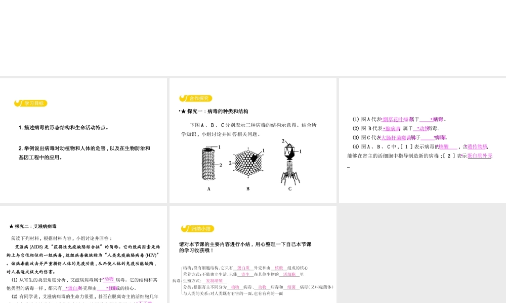 八年级生物上册 5.1.2 病毒课件 （新版）冀教版-（新版）冀教级上册生物课件
