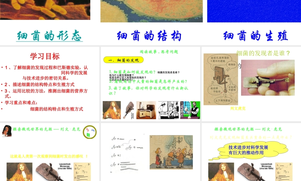 八年级生物上册 5.4.2《细菌》课件4 （新版）新人教版-（新版）新人教级上册生物课件