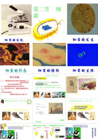 八年级生物上册 5.4.2《细菌》课件4 （新版）新人教版-（新版）新人教级上册生物课件
