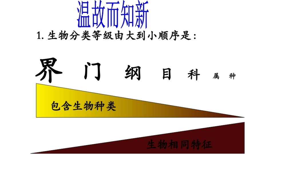 八年级生物上册 6.2《认识生物的多样性》课件1 （新版）新人教版-（新版）新人教版初中八年级上册生物课件