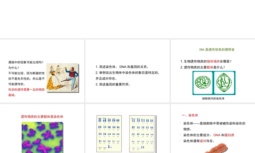 八年级生物上册 20.2 性状遗传的物质基础课件（2）（新版）北师大版-（新版）北师大版初中八年级上册生物课件