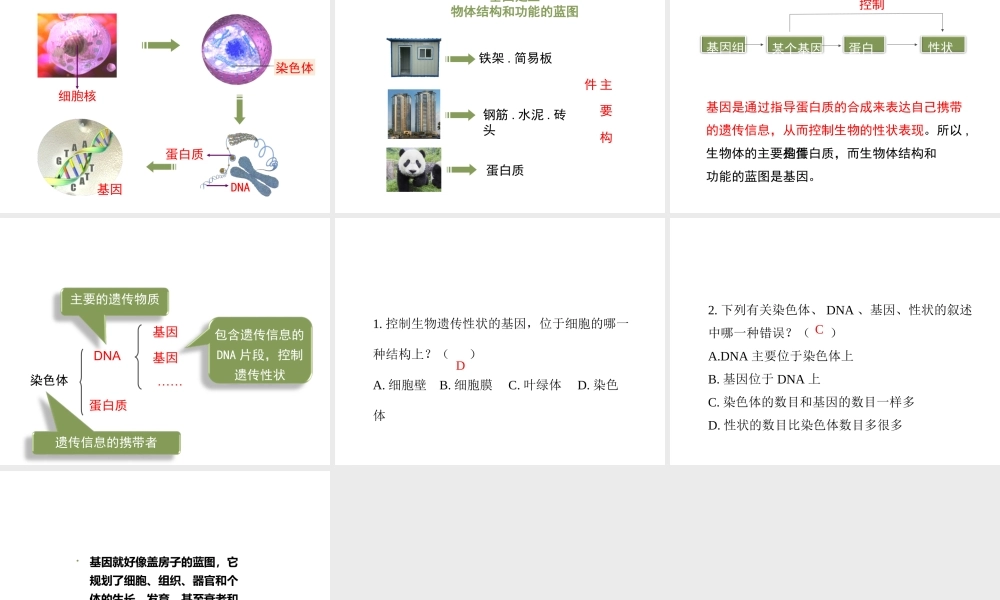 八年级生物上册 20.2 性状遗传的物质基础课件（2）（新版）北师大版-（新版）北师大版初中八年级上册生物课件