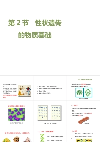 八年级生物上册 20.2 性状遗传的物质基础课件（2）（新版）北师大版-（新版）北师大版初中八年级上册生物课件