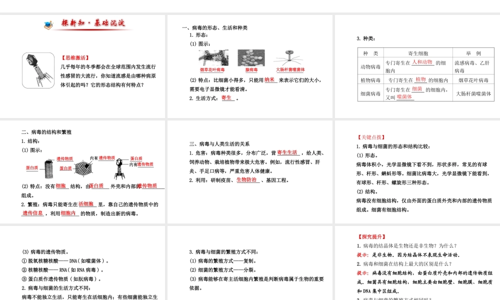 八年级生物上册 5.1.2 病毒课件（1）（新版）冀教版-（新版）冀教版初中八年级上册生物课件