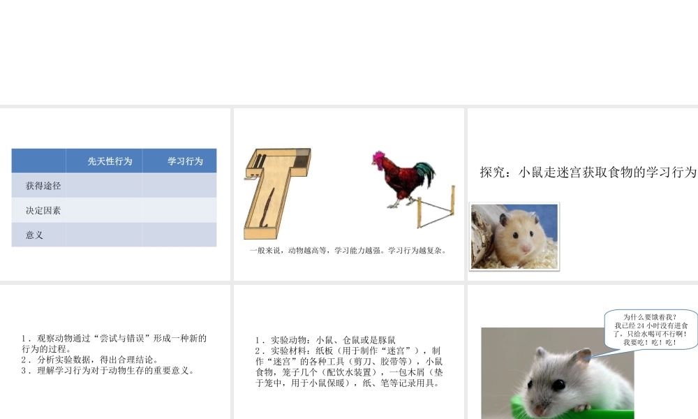 八年级生物上册 5.2.2 先天性行为和学习行为（第2课时）教学课件 （新版）新人教版-（新版）新人教版初中八年级上册生物课件