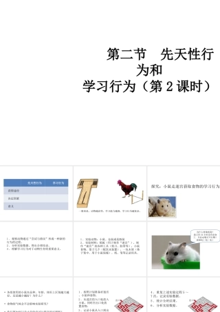 八年级生物上册 5.2.2 先天性行为和学习行为（第2课时）教学课件 （新版）新人教版-（新版）新人教版初中八年级上册生物课件