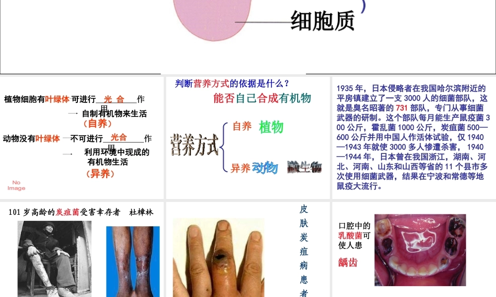 八年级生物上册 5.4.2《细菌》课件5 （新版）新人教版-（新版）新人教版初中八年级上册生物课件