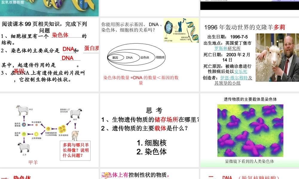 八年级生物上册 20.2《性状遗传的物质基础》课件1 （新版）北师大版-（新版）北师大版初中八年级上册生物课件