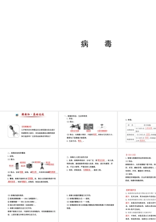 八年级生物上册 5.1.2 病毒课件（1）（新版）冀教版-（新版）冀教级上册生物课件
