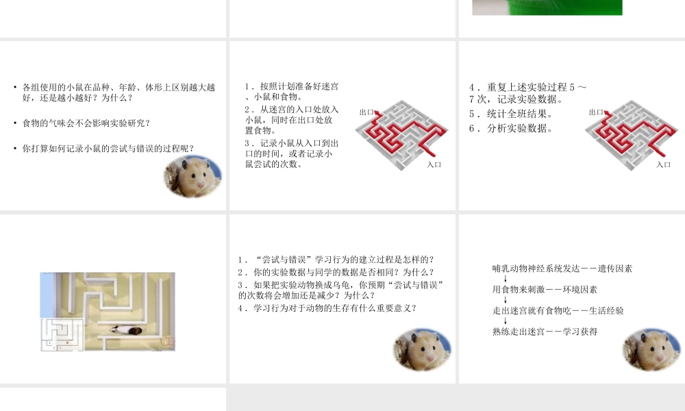 八年级生物上册 5.2.2 先天性行为和学习行为（第2课时）教学课件 （新版）新人教版-（新版）新人教级上册生物课件