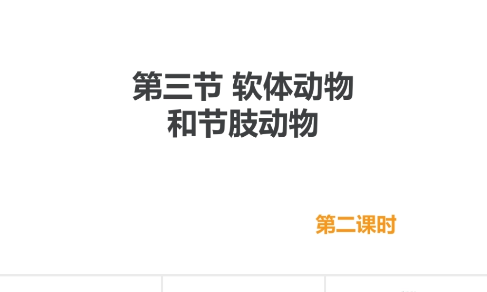 八年级生物上册 5.1.3《软体动物和节肢动物》（第2课时）课件 （新版）新人教版-（新版）新人教级上册生物课件