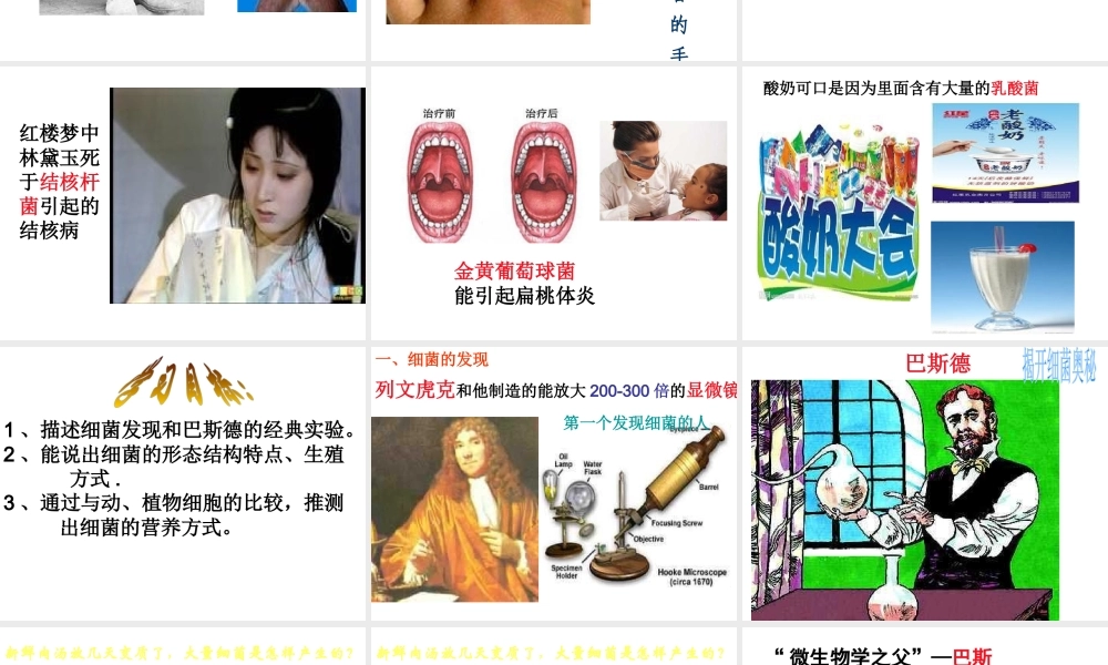 八年级生物上册 5.4.2《细菌》课件5 （新版）新人教版-（新版）新人教级上册生物课件